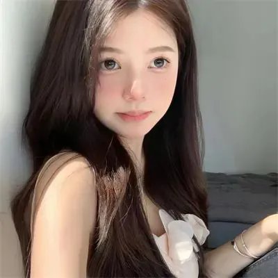 淑女鸟