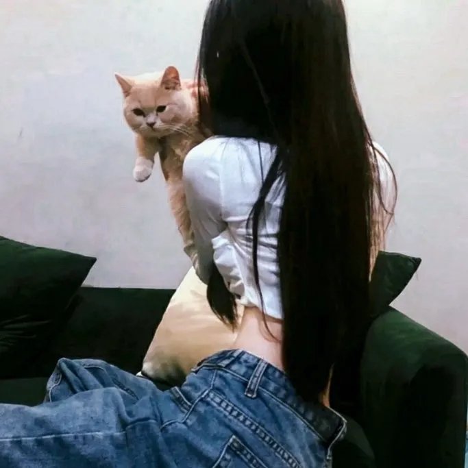 白月光下