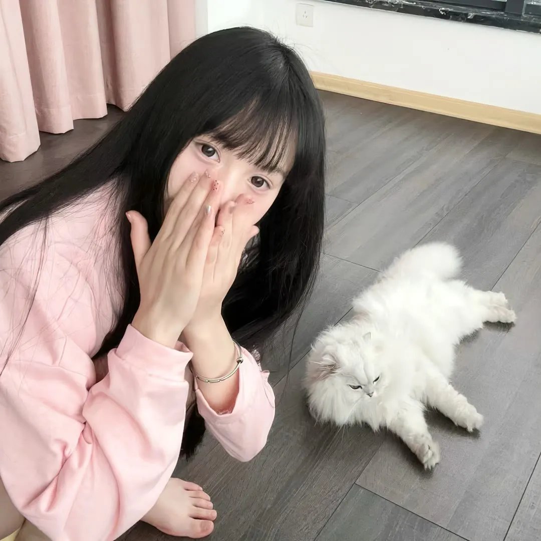 目莲救母
