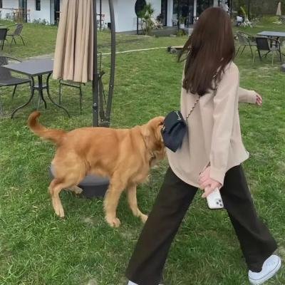 哎吔少女